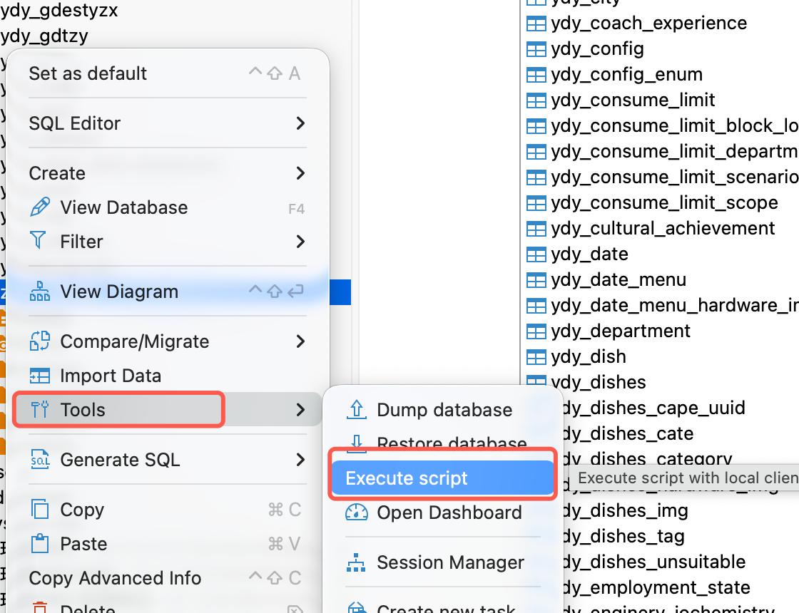 DBeaver 数据库右键菜单 Tools 下的 Execute script